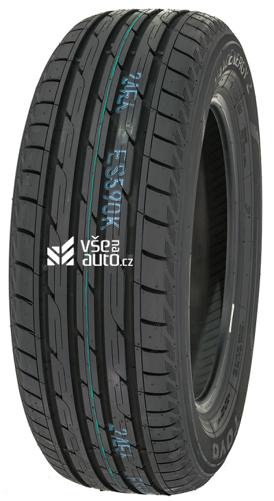 TOYO NANOENERGY 2